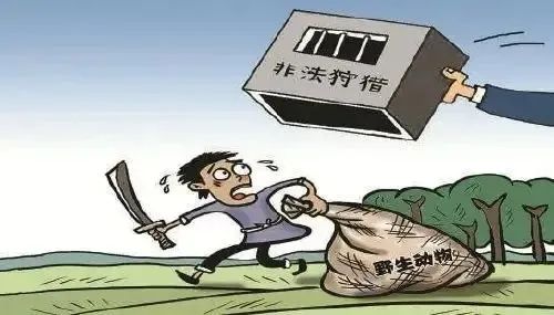 870e23a25794d4ec6013f63e2da9247a_640_wx_fmt=jpeg&wxfrom=5&wx_lazy=1&wx_co=1.jpg