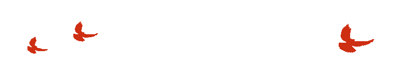 3a1d237b2343cf567ef79e5163110a94_640_wx_fmt=gif&wxfrom=5&wx_lazy=1.gif