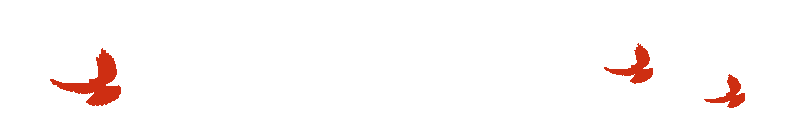13125685a70fb8c329dd1d46d27995f1_640_wx_fmt=gif&wxfrom=5&wx_lazy=1.gif